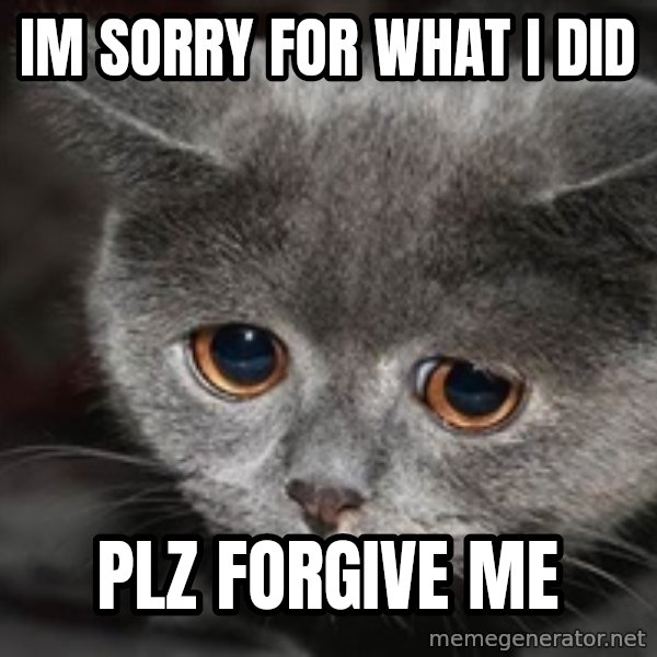 Sadcat meme: im sorry for what i did / Plz Forgive me