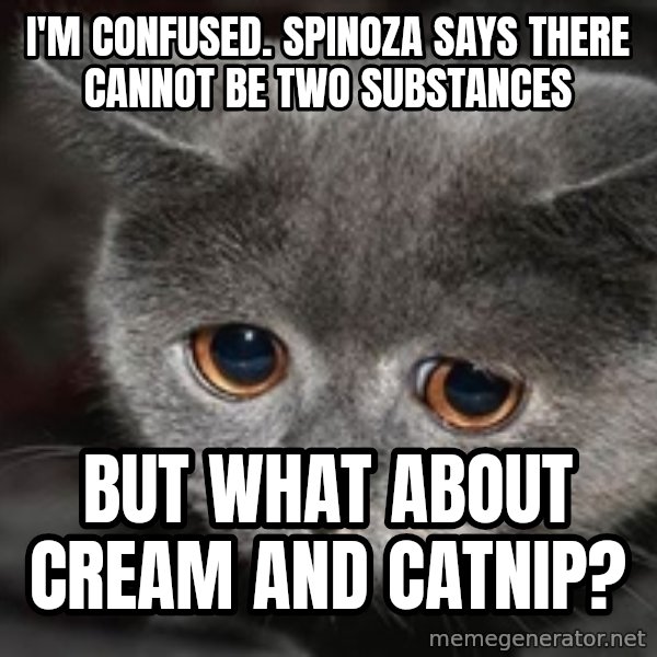 Sadcat meme: I'm confused. Spinoza says there cannot be two substances / but what about cream and catnip?