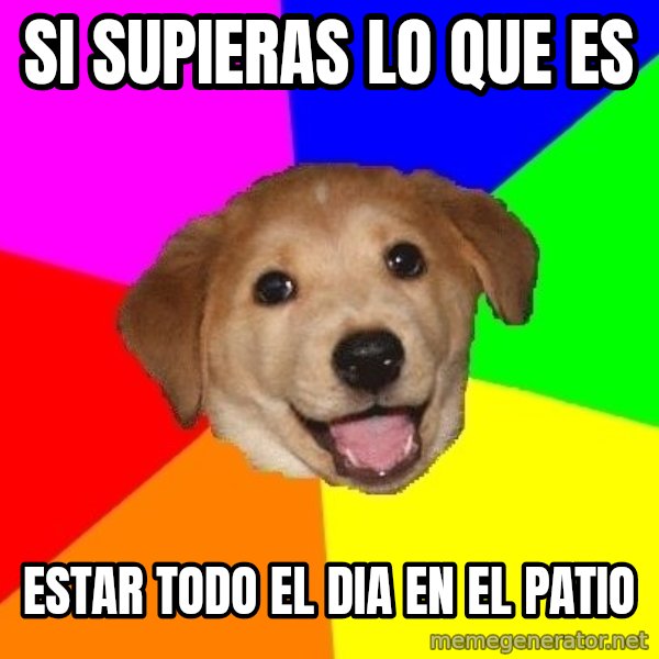 Advice Dog meme: si supieras lo que es / estar todo el dia en el patio