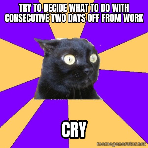 Anxiety Cat meme: try to decide what to do with consecutive two days off from work / cry