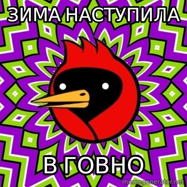 Omsk Crow meme: зима наступила / В ГОВНО