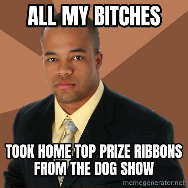 Successful Black Man meme: all my bitches / took home top prize ribbons from the dog show