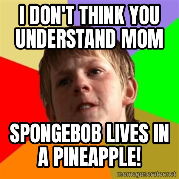 Angry School Boy meme: i don't think you understand mom / spongebob lives in a pineapple!