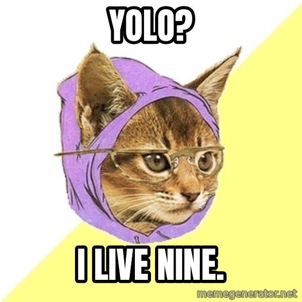 Hipster Kitty meme: yolo? / i live nine.