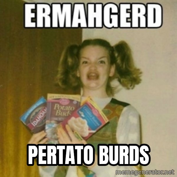 Ermahgerd meme: pertato burds