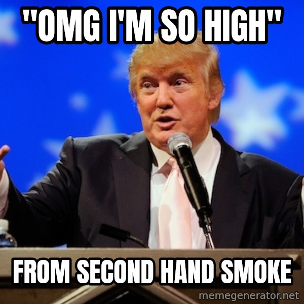 Annoying Facebook Girl meme: "OMG I'M SO HIGH" / FROM SECOND HAND SMOKE