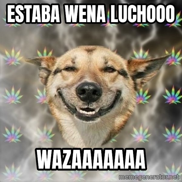 Stoner Dog meme: estaba wena luchooo / wazaaaaaaa