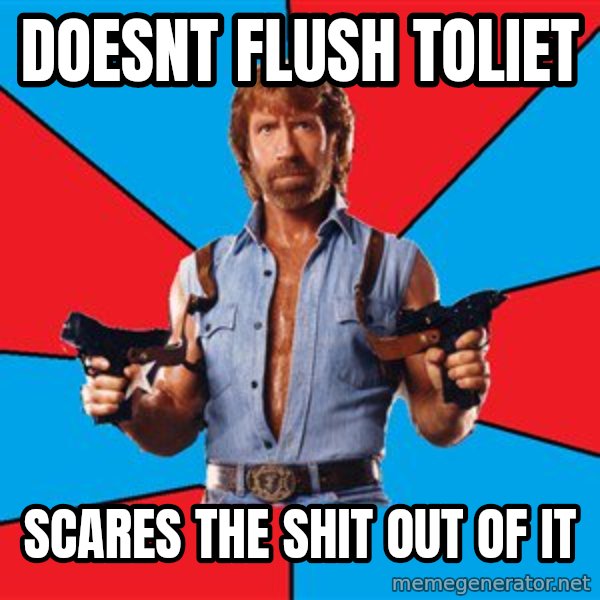 Chuck Norris  meme: Doesnt Flush Toliet / Scares the shit out of it