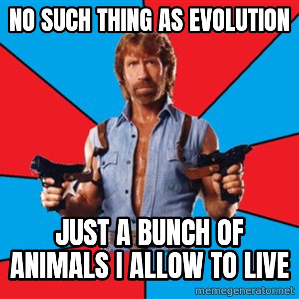 Chuck Norris  meme: no such thing as evolution / just a bunch of animals i allow to live