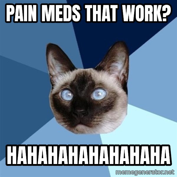 Chronic Illness Cat meme: PAIN MEDS THAT WORK? / HAHAHAHAHAHAHAHA