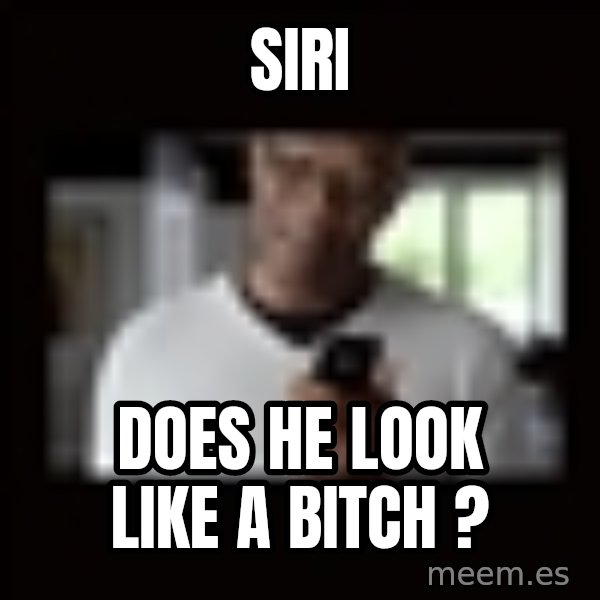 Samuel L Jackson Siri meme: SIRI / DOES HE LOOK LIKE A BITCH ?