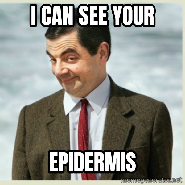 MR bean meme: I can see your / epidermis