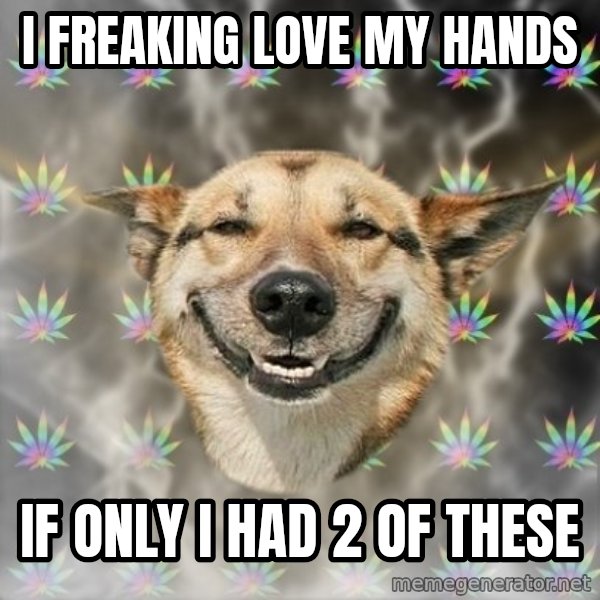 Stoner Dog meme: i freaking love my hands / If only i had 2 of these
