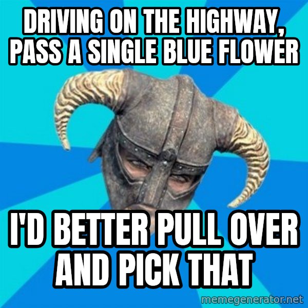skyrim stan meme: driving on the highway, pass a single blue flower / i'd better pull over and pick that
