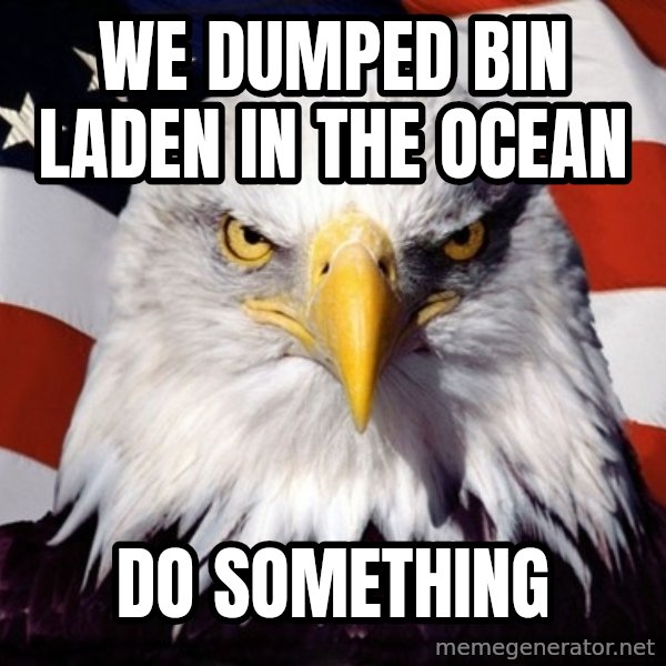 American Pride Eagle meme: we dumped bin laden in the ocean / do something