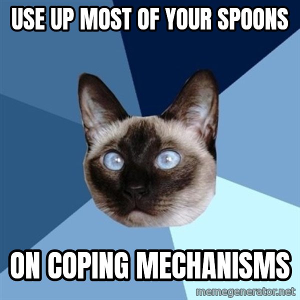 Chronic Illness Cat meme: Use Up Most of your spoons / On coping mechanisms