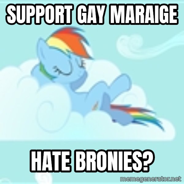 My Little Pony meme: SUPPORT GAY MARAIGE / HATE BRONIES?