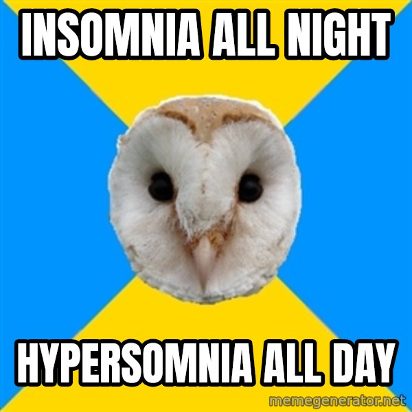 Bipolar Owl meme: Insomnia all night / Hypersomnia all day