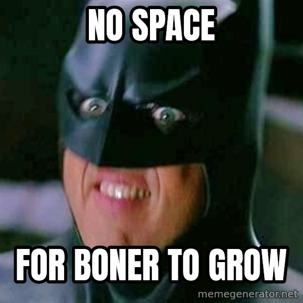 Goddamn Batman meme: No space / For boner to grow