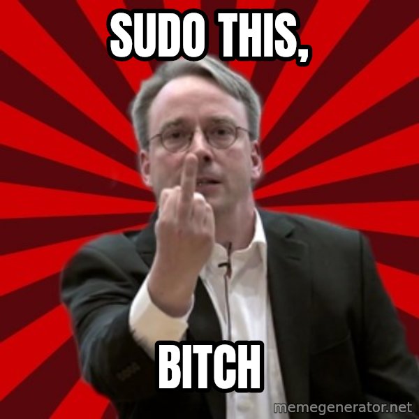 Angry Linus meme: SuDO this, / bitch