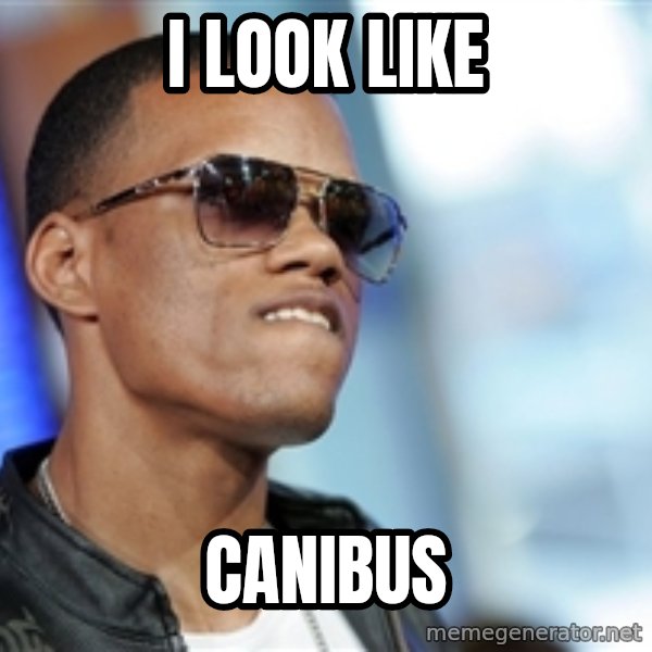 Dat Ass meme: i look like / canibus
