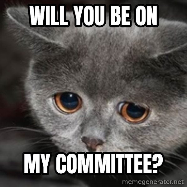Sadcat meme: Will you be on / my committee?