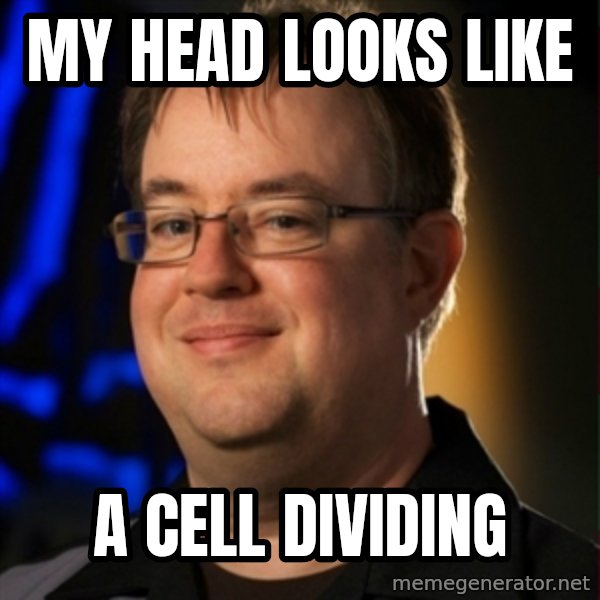 Jay Wilson Diablo 3 meme: my head looks like / a cell dividing