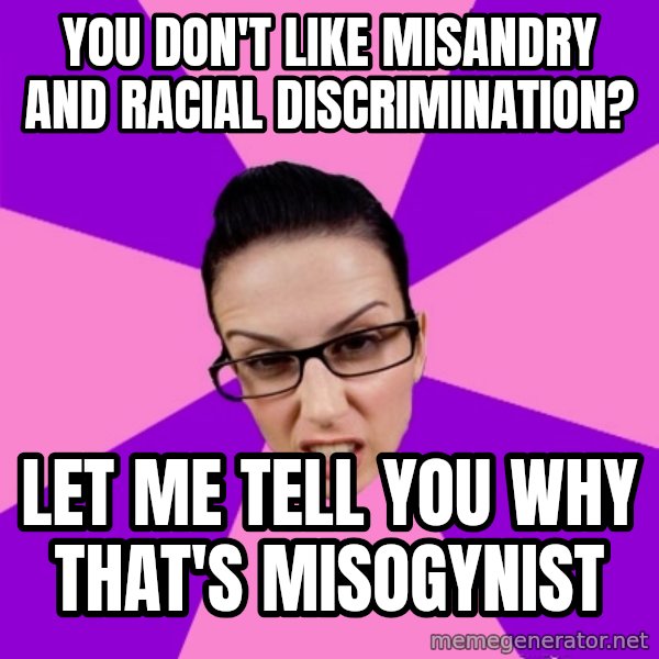Privilege Denying Feminist meme: You don't like misandry and RACIAL DISCRIMINATION? / LET ME TELL YOU WHY THAT'S MISOGYNIST