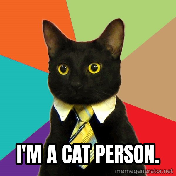 Business Cat meme: I'M A CAT PERSON.