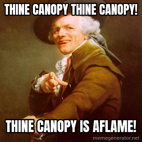 Joseph Ducreux meme: Thine canopy thine canopy! / Thine canopy is aflame!