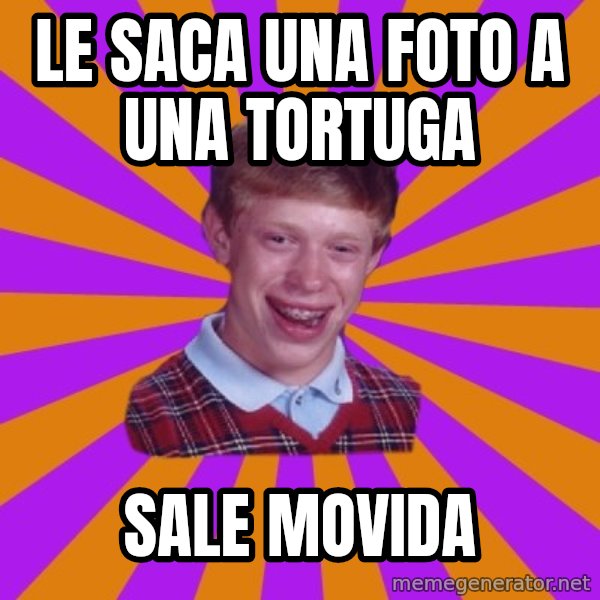 Unlucky Brian Strikes Again meme: LE SACA UNA FOTO A UNA TORTUGA / SALE MOVIDA
