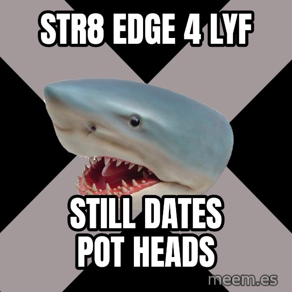 Straight Edge Shark meme: Str8 edge 4 lyF / Still dates pot heads