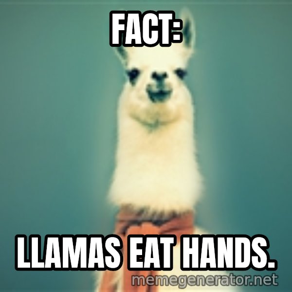 Pancakes llama meme: FACT: / LLAMAS EAT HANDS.