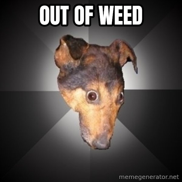 Depression Dog meme: out of weed