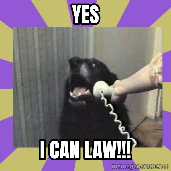 Yes, this is dog! meme: YES / I CAN LAW!!!