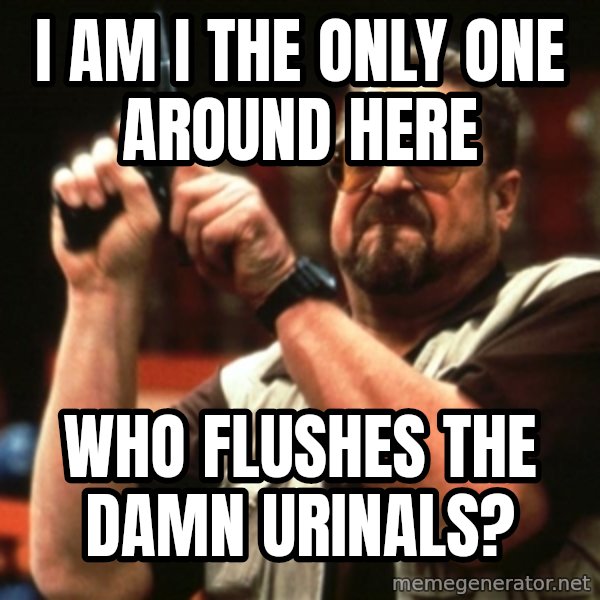 Big Lebowski meme: I am i the only one around here / who flushes the damn urinals?