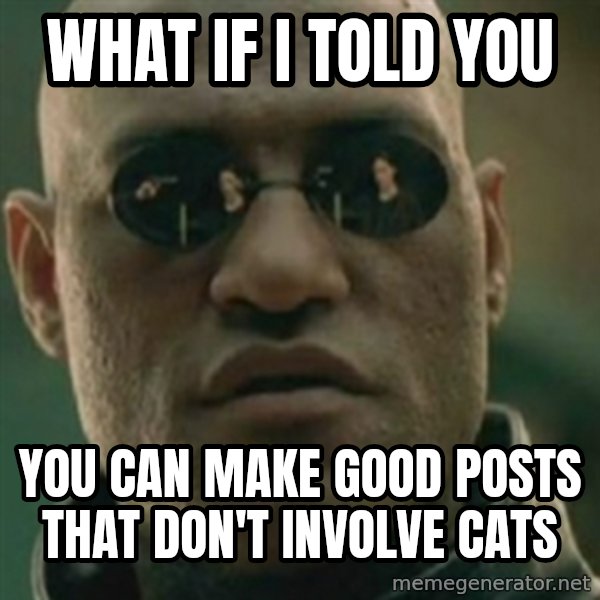 Nikko Morpheus meme: what if i told you / you can make good posts that don't involve cats