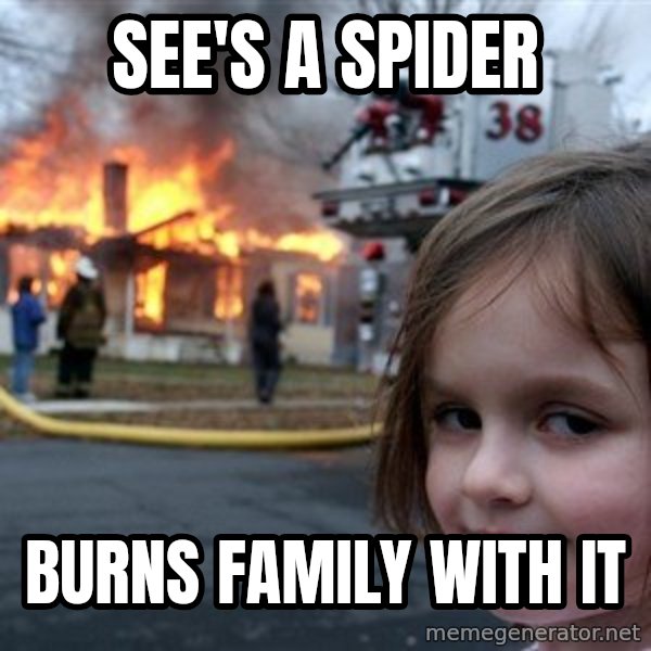Disaster Girl meme: see's a spider / burns family with it