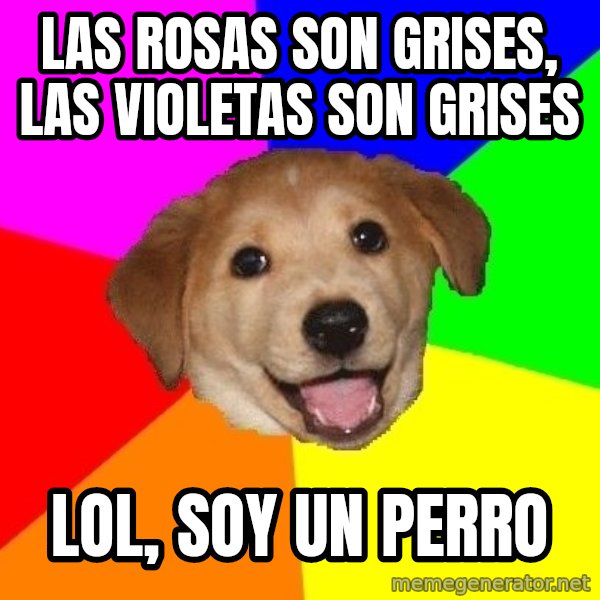 Advice Dog meme: las rosas son grises, las violetas son grises / lol, soy un perro