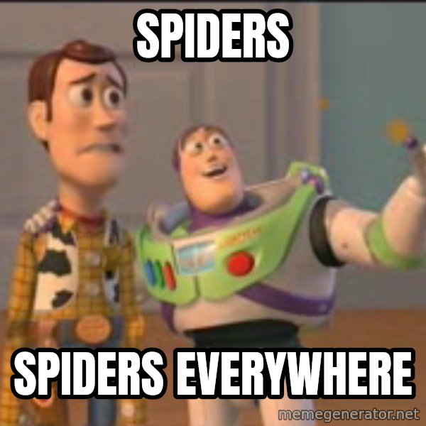 X, X Everywhere  meme: Spiders / Spiders everywhere