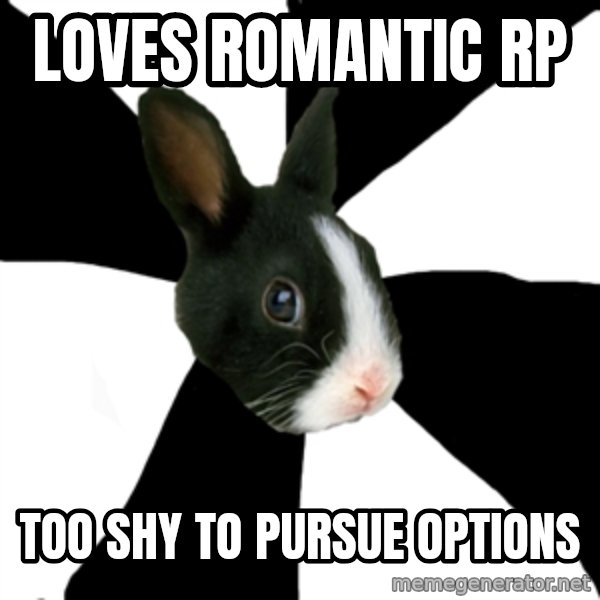 Roleplaying Rabbit meme: loves romantic rp / too shy to pursue options