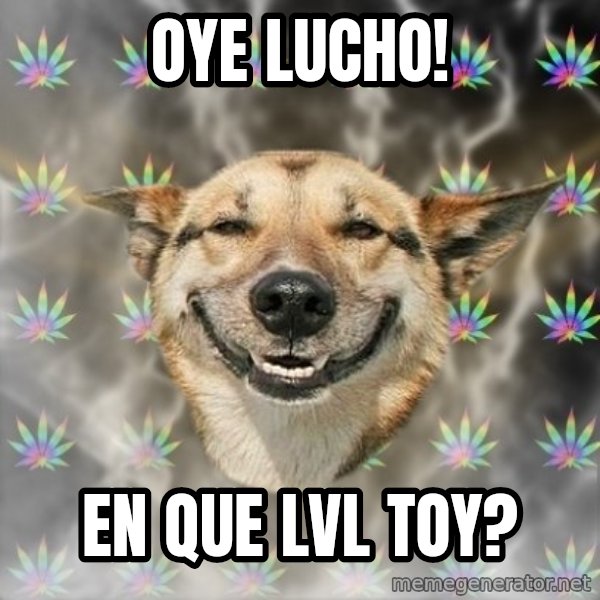 Stoner Dog meme: OYE LUCHO! / EN QUE LVL TOY?