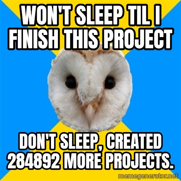 Bipolar Owl meme: won't sleep til i finish this project / don't sleep, created 284892 more projects.