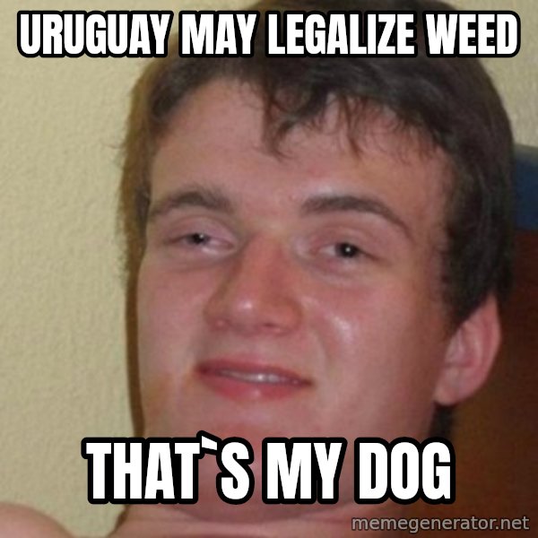 really high guy meme: uruguay may legalize weed / that`s my dog