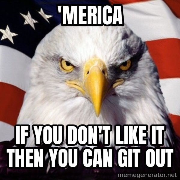 American Pride Eagle meme: 'merica / If you don't like it then you can Git out