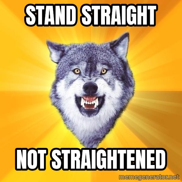 Courage Wolf meme: Stand Straight / Not Straightened