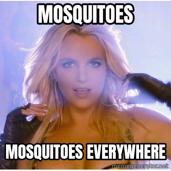 Consequences Toy Story meme: Mosquitoes / Mosquitoes everywhere