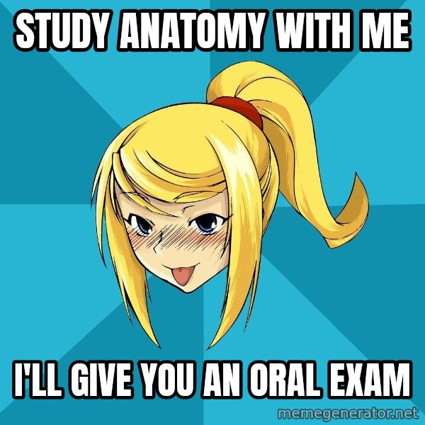 Horney Samus meme: Study anatomy with me / I'll give you an oral exam