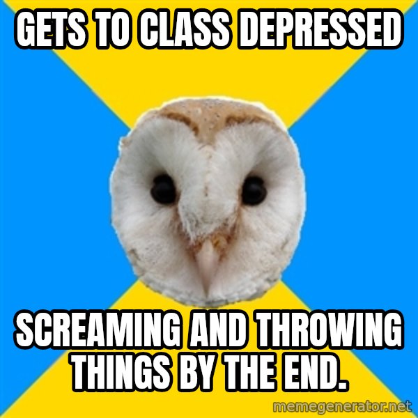 Bipolar Owl meme: Gets to class depressed / Screaming and throwing things by the end.