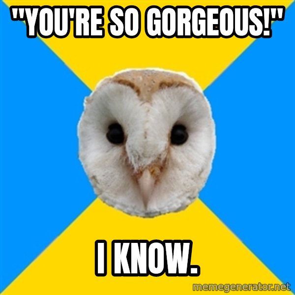 Bipolar Owl meme: "You're so gorgeous!" / I know.